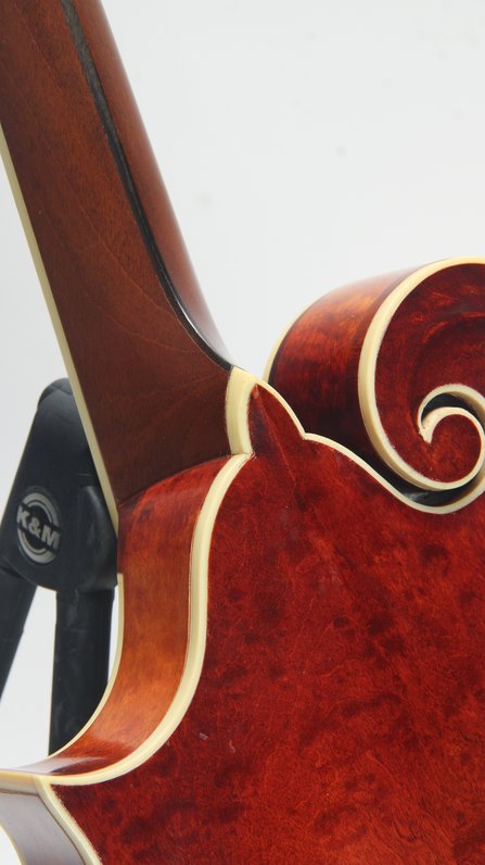 Gibson F-4 (ca. 1913) #5