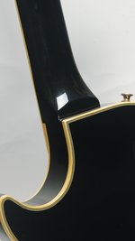 Burny RLC Sustainer (SKU: 32030) 32030