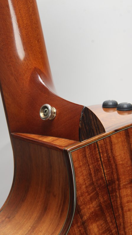 Taylor 714CE LTD Koa Limited Edition (2008) #5