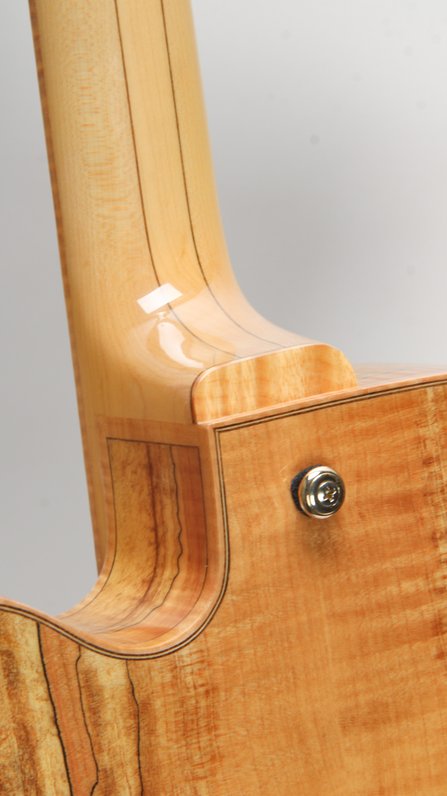 Ibanez AF105SM-EE (2009) #5