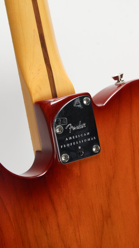 Fender American Professional II Telecaster Sienna Burst *Modded (2021) #5