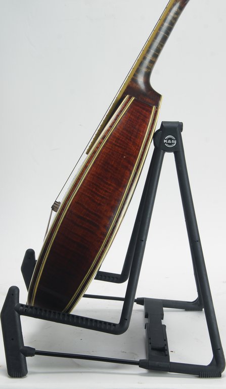 Weymann Style 75 Mandolute #5