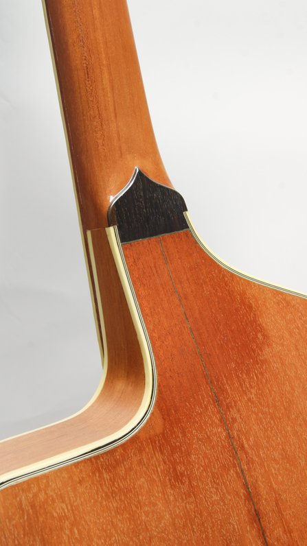 Lehmann Roundneck Cutaway Resonator #5