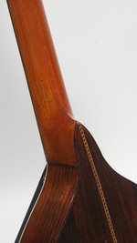 August Pollman Mandoline-Banjo (Rosewood) (SKU: 32121) 32121
