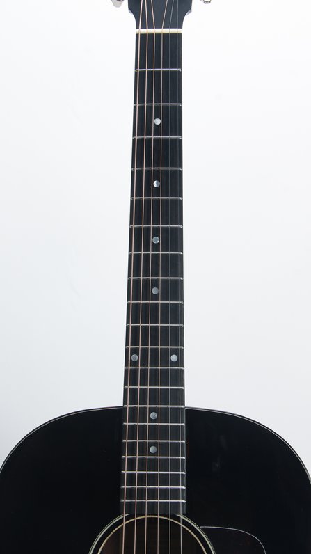 Eastman E1SS-DLX #6