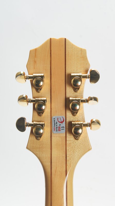 Epiphone Sheraton II NA (2015) #6