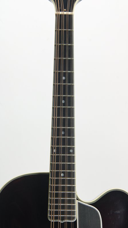 Triggs Mandocello (2012) #6