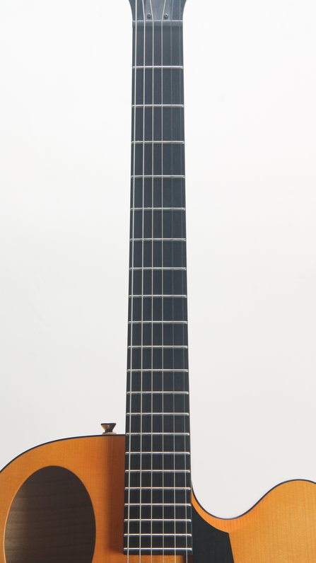Steve Andersen Oval Hole Archtop w. Calton case (2001) #6