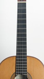 Richard Cogger Classical 650 Cedar/Brazilian (SKU: 30881) 30881