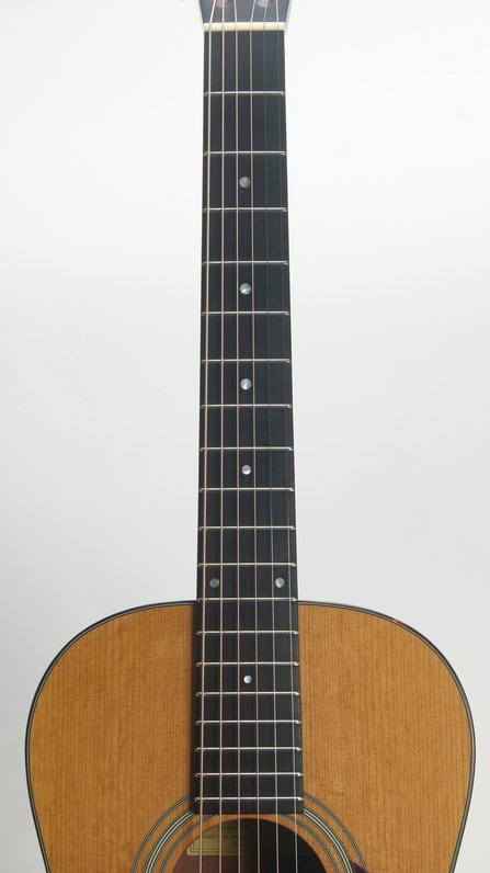 Eastman E10P-TC #6