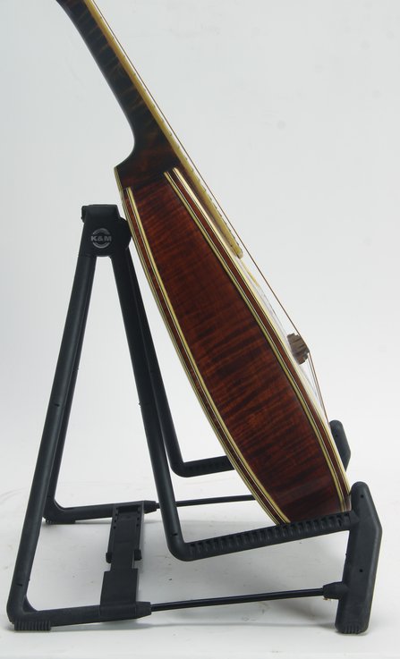 Weymann Style 75 Mandolute #6