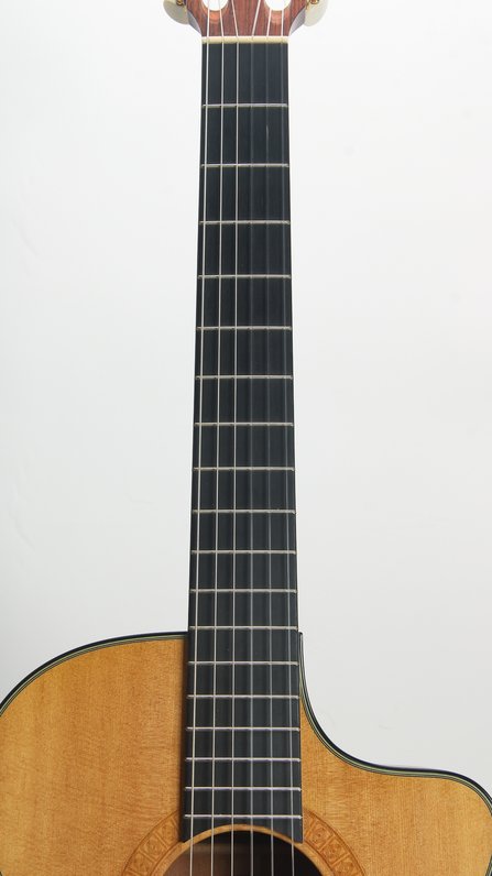 Taylor NS32-CE (2004) #6