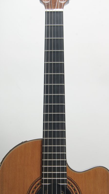 Gibson Chet Atkins Classic CE (2001) #6
