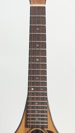 Earnest Custom Mandolin (SKU: 32627) 32627