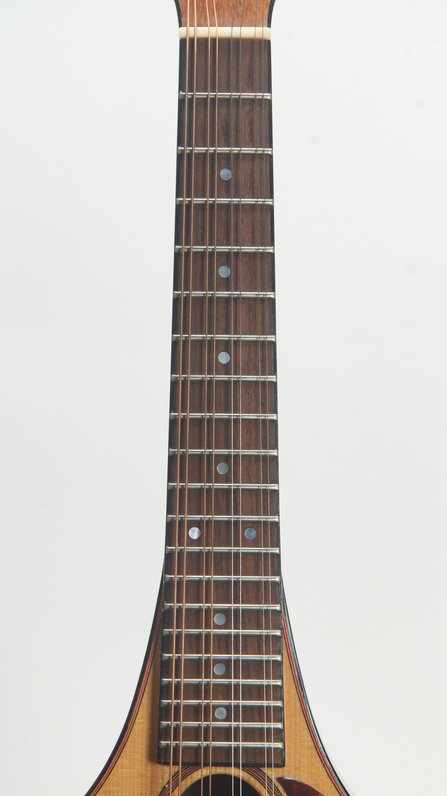 Earnest Custom Mandolin #6