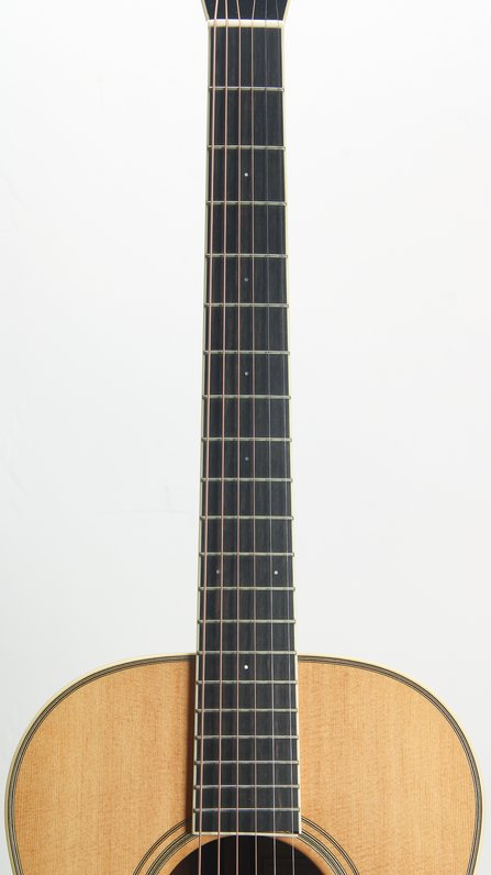 Santa Cruz Model H #6