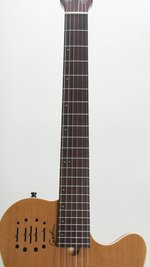 Godin Multiac Nylon Encore (SKU: 31698) 31698