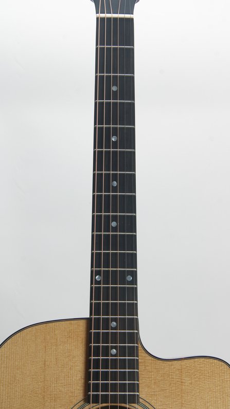 Eastman E1OMCE-DLX #6