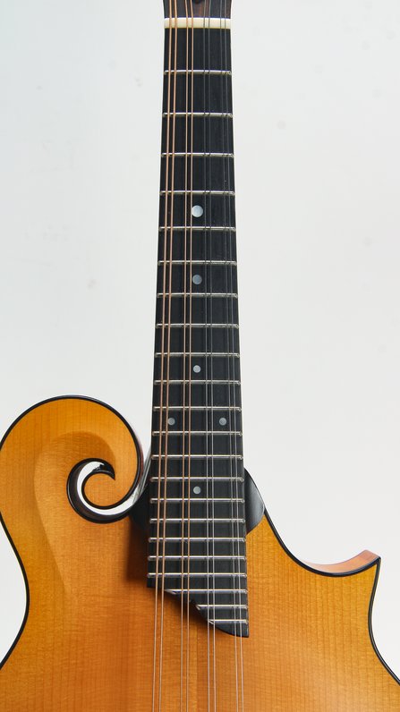 Collings MF #6