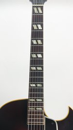Gibson ES-175 w. PAF (1957) (SKU: 31584) 31584