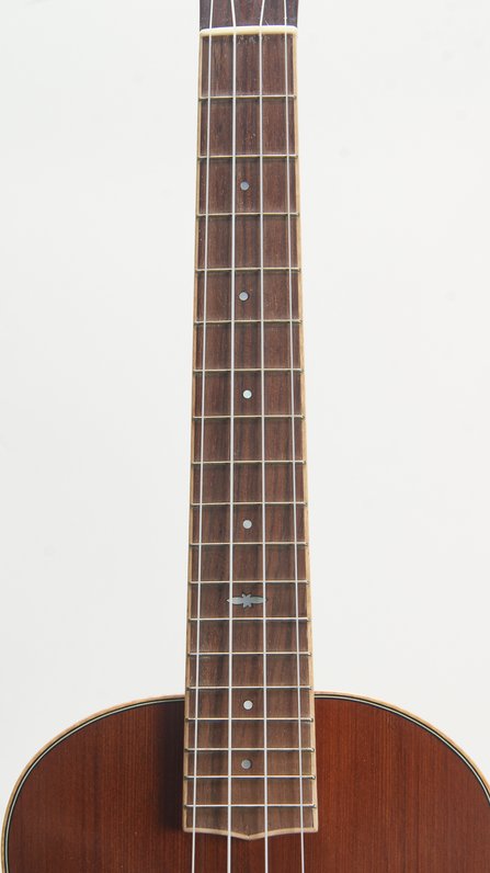 McGonnell Arch Top Tenor Uke #6