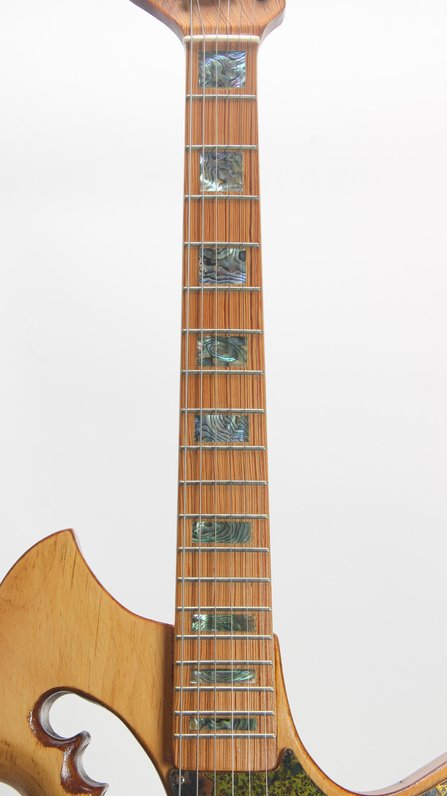 RC Kelly Turtle Electric Guitar (Art) #6