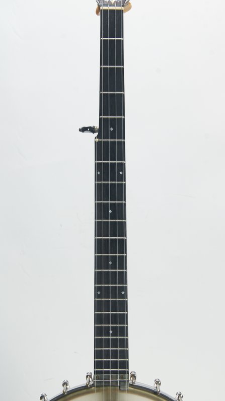 Van Eps Recording Banjo 12" #6
