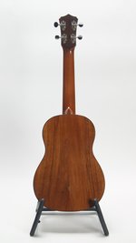 Cordoba 35T Tenor (SKU: 31385) 31385