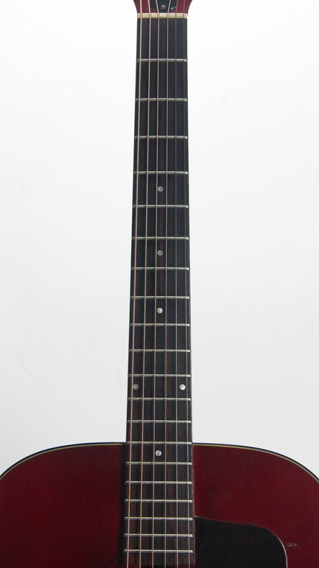 Guild Bluegrass D-25 #6