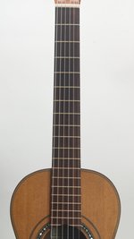 Lehmann & Cole "Louis Panormo reproduction" (2018) (SKU: 32682) 32682