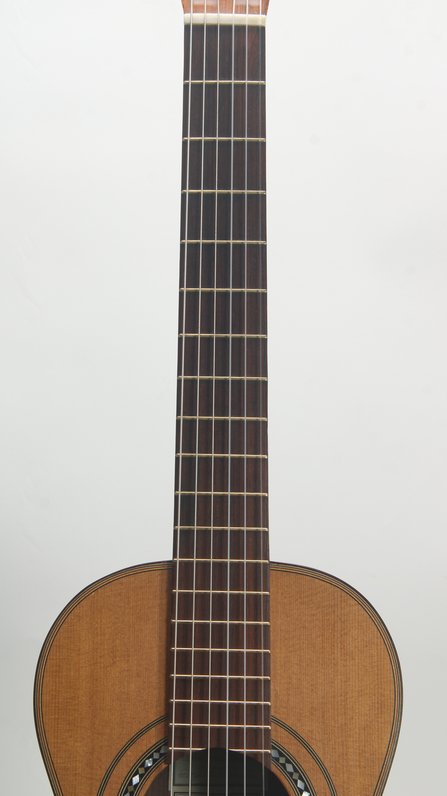 Lehmann & Cole Louis Panormo reproduction (2018) #6
