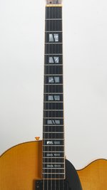 Roger Borys B120 Deluxe Archtop (2024) (SKU: 32615) 32615