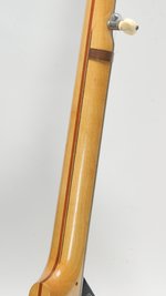 Vega Pete Seeger Longneck Custom (SKU: 32125) 32125