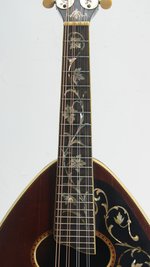 Weymann Style 75 Mandolute (ca. 1910) (SKU: 31862) 31862