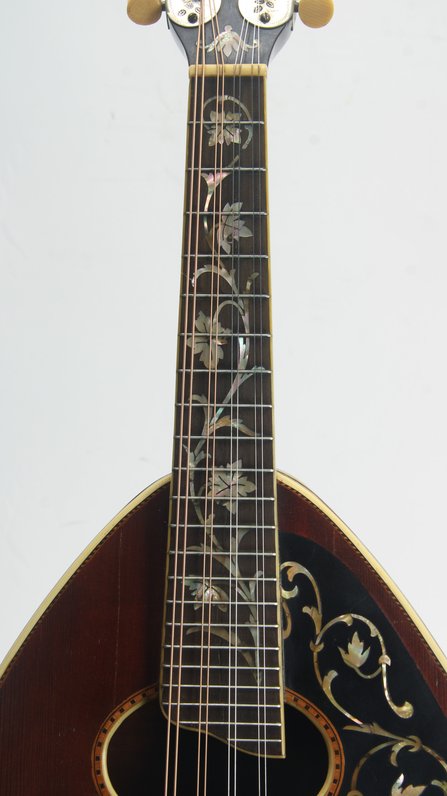 Weymann Style 75 Mandolute #7