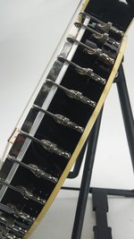 Gold Tone Cello Banjo CEB-5 *USED* (SKU: 31759) 31759