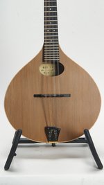 Red Valley Mandolins AMW Mandolin (SKU: 31125) 31125