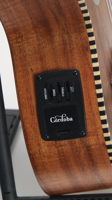 Cordoba 25T-CE Tenor Ukulele #3