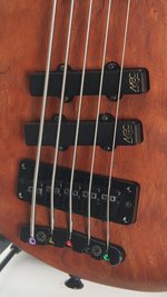 Warwick Thumb 5 Neck Thru (c.2003) (SKU: 32539) 32539