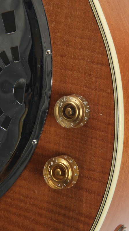 Lehmann Roundneck Cutaway Resonator #8