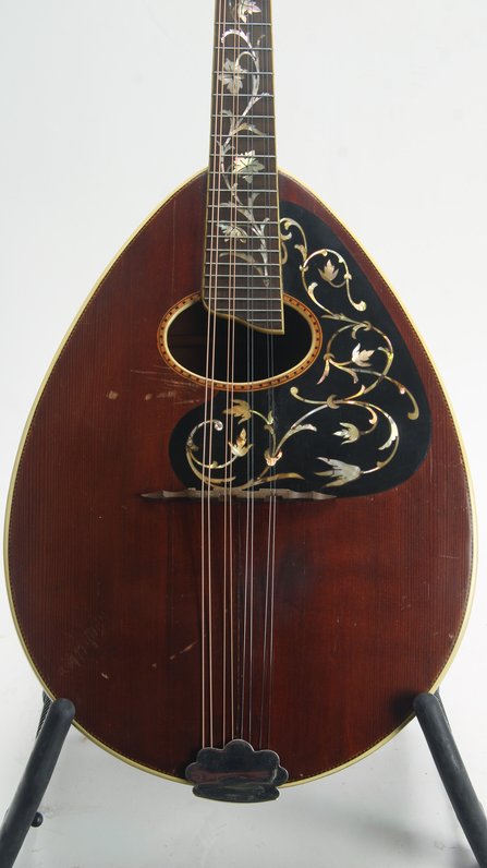 Weymann Style 75 Mandolute #8