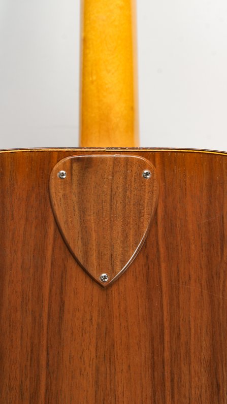 Ernie Ball Earthwood Acoustical Bass Guitar (c.1972) #8