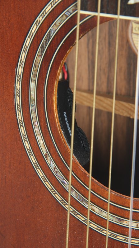 Washburn R320 SWRK #8