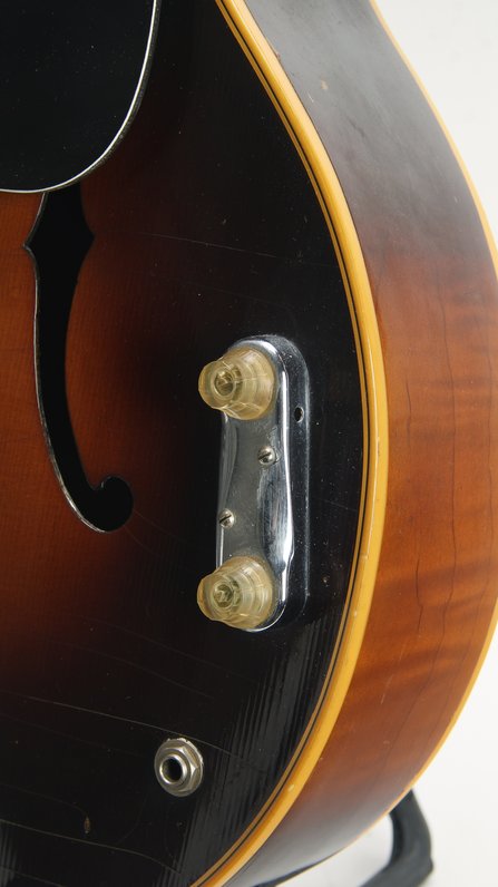 Vega C-66 17" Arch Top (ca.1940) #8