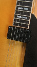 Roger Borys B120 Deluxe Archtop (2024) (SKU: 32615) 32615