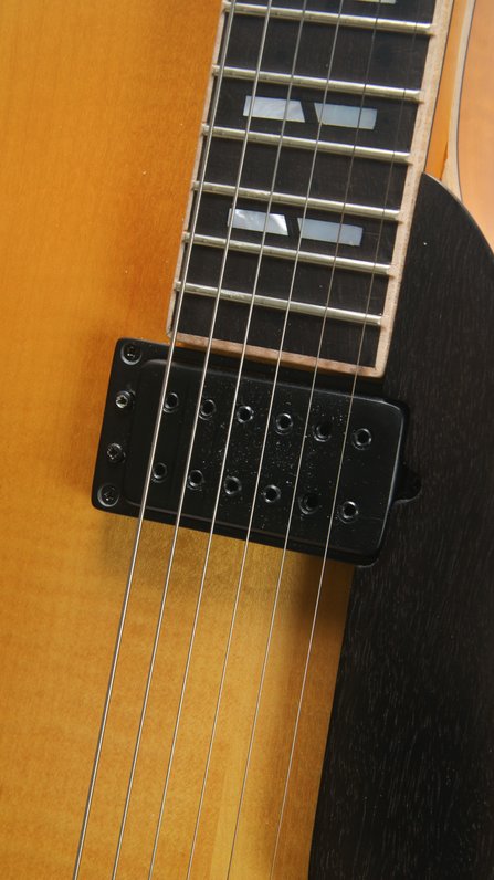 Roger Borys B120 Deluxe Archtop (2024) #8
