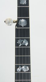 Vega  Artist (Five String Conversion) (SKU: 32259) 32259