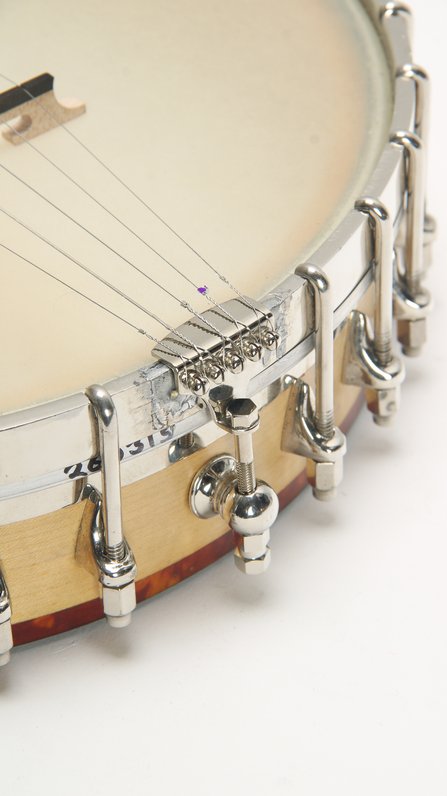 Vega Little Wonder Five String Conversion (10-1/8 X #8
