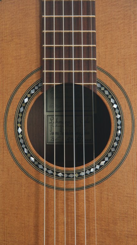 Lehmann & Cole Louis Panormo reproduction (2018) #8