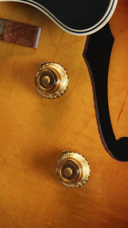 Gibson ES-175 w. PAF (1957) #8